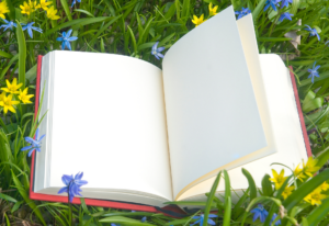 Ein Buch mit leeren Seiten liegt auf einer Wiese mit Blumen